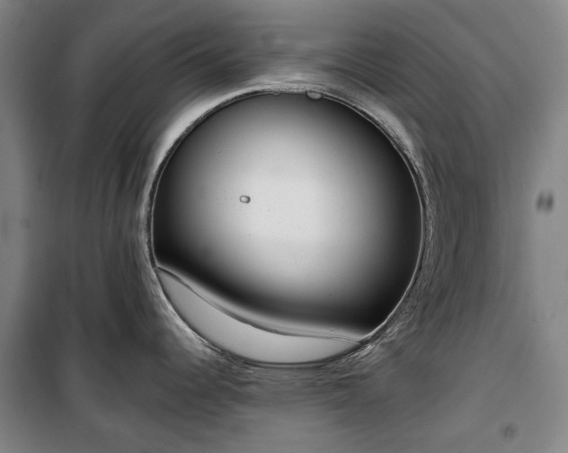 X0000100331344200806121119