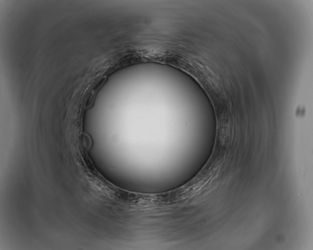 X0000100331345200806121118