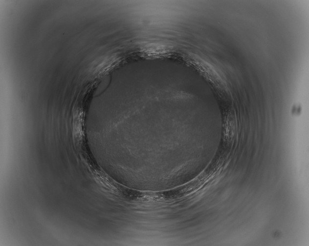 X0000100331346200806121118