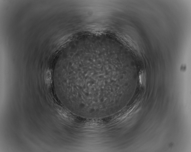 X0000100331347200806121118