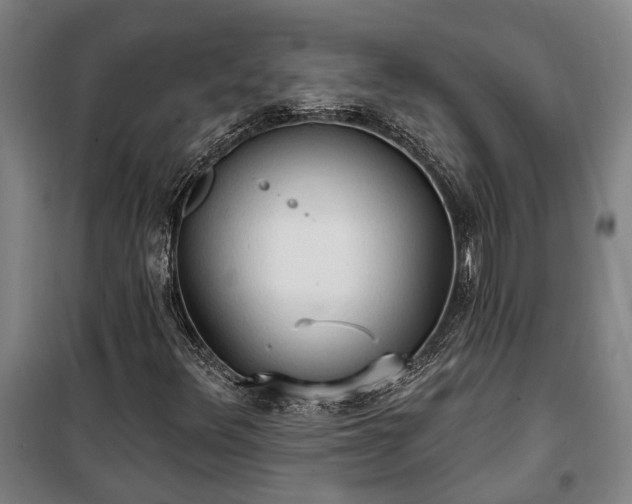 X0000100331348200806121118