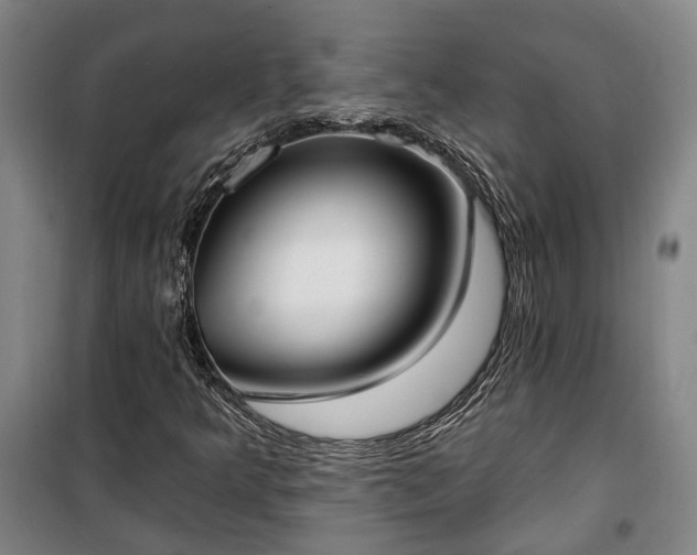 X0000100331349200806121118