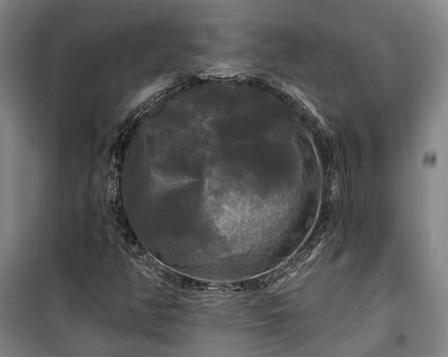 X0000100331350200806121118