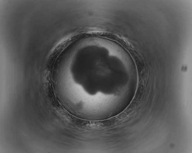 X0000100331351200806121118