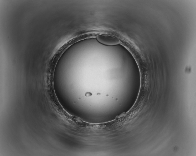 X0000100331352200806121118