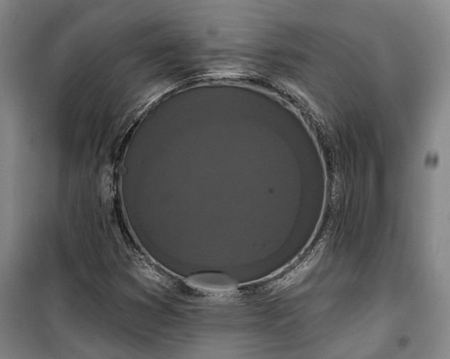 X0000100331353200806121118