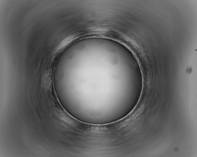 X0000100331354200806121118