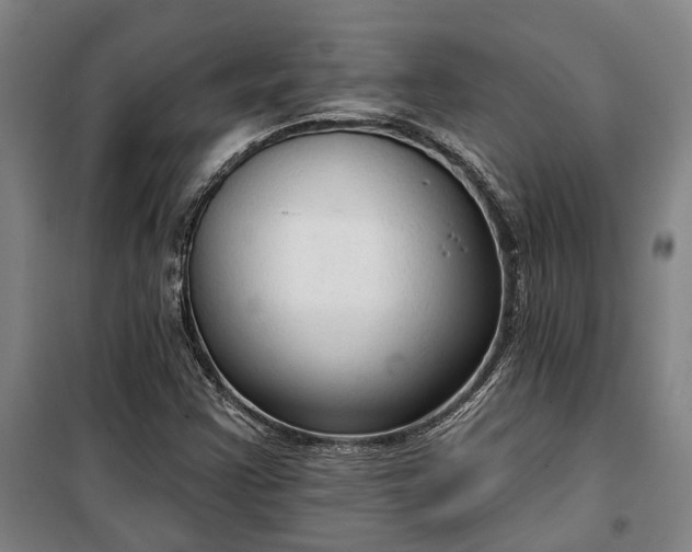 X0000100331355200806121118