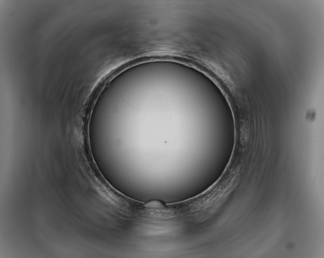 X0000100331356200806121118