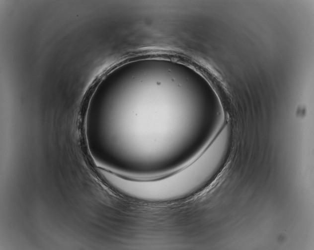 X0000100331357200806121118