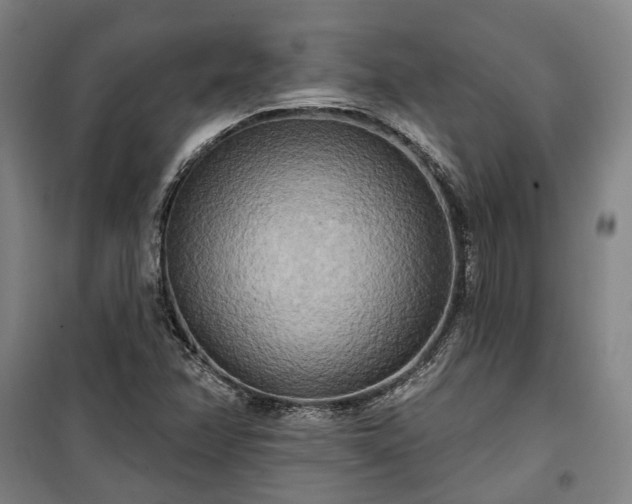 X0000100331358200806121118