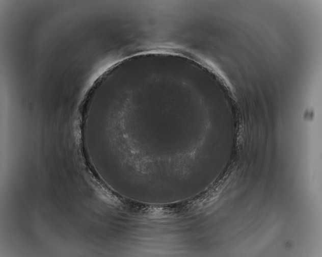 X0000100331360200806121118