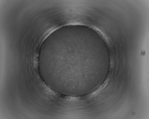 X0000100331361200806121118