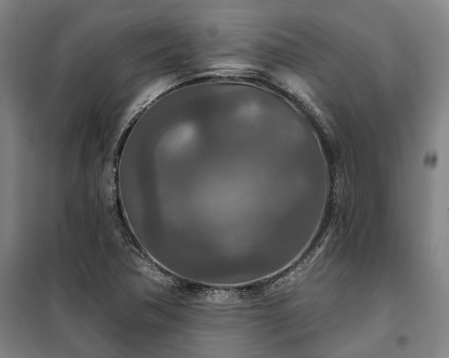 X0000100331362200806121118