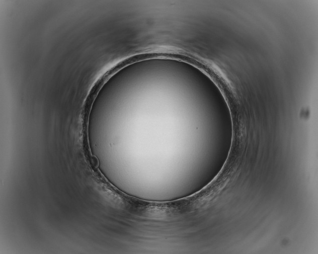 X0000100331364200806121118