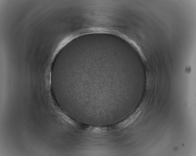 X0000100331365200806121118