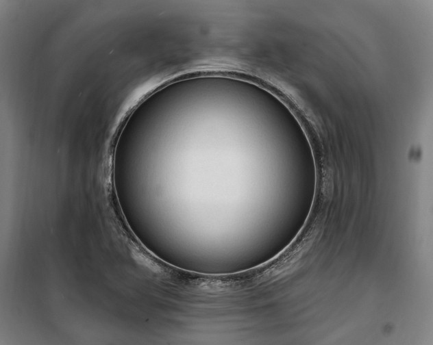 X0000100331366200806121118