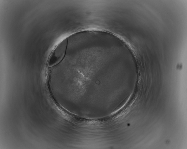 X0000100331367200806121118