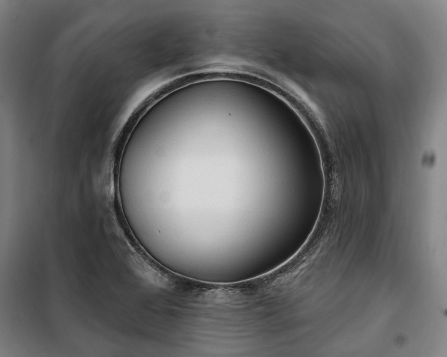 X0000100331368200806121118