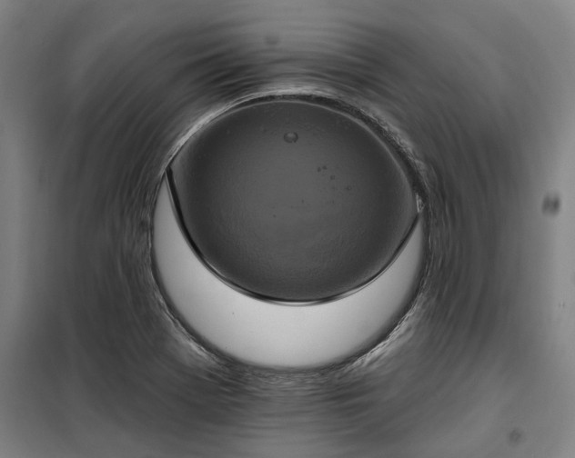 X0000100331369200806121118