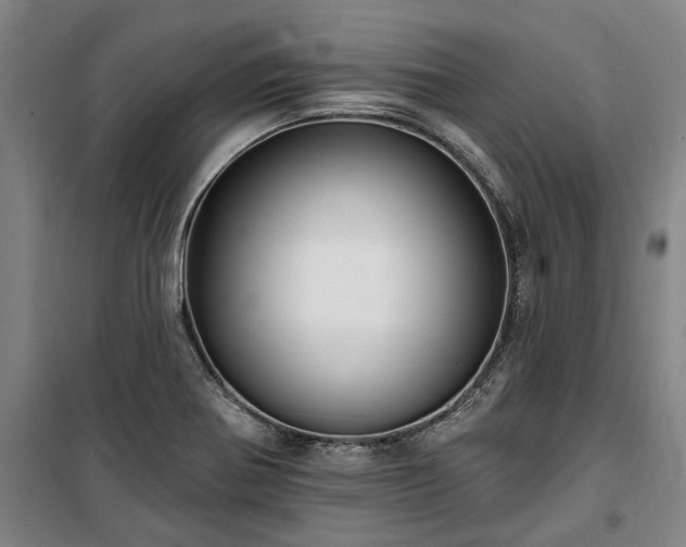 X0000100331370200806121118