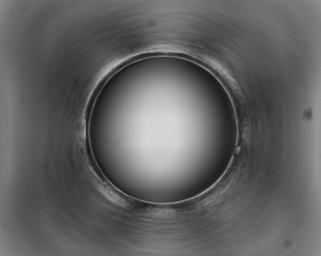 X0000100331372200806121118