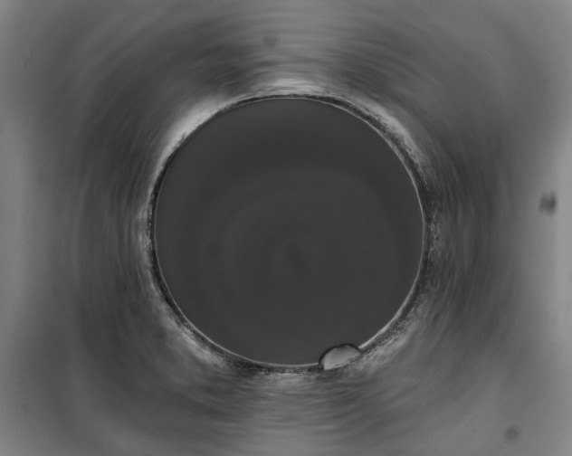 X0000100331373200806121118