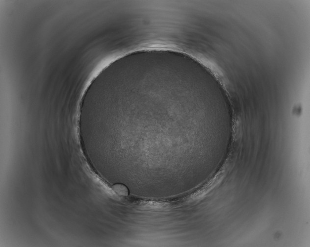 X0000100331374200806121118