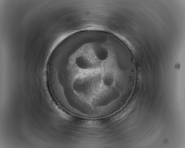 X0000100331375200806121117