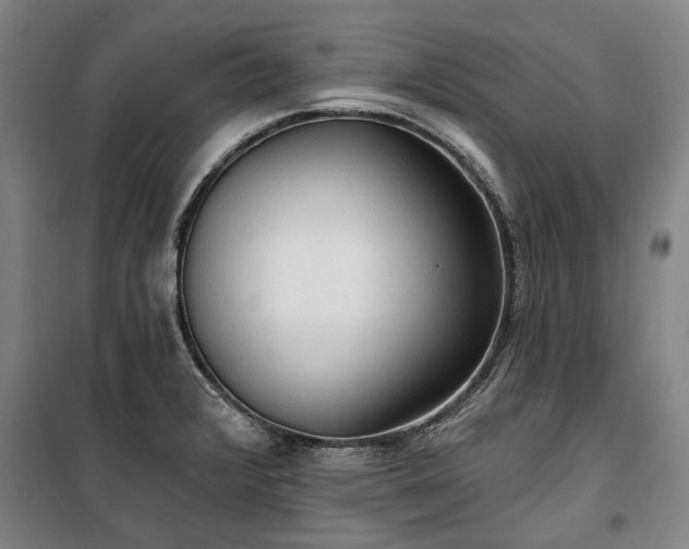 X0000100331376200806121117