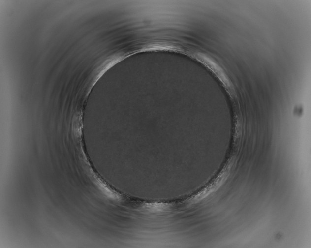 X0000100331377200806121117