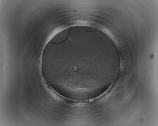 X0000100331378200806121117