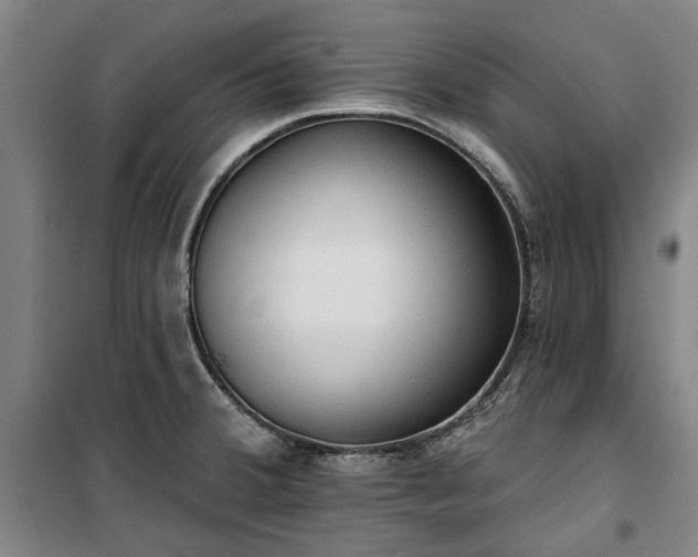 X0000100331380200806121117