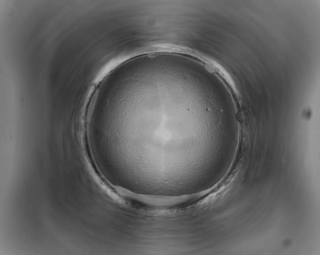 X0000100331381200806121117