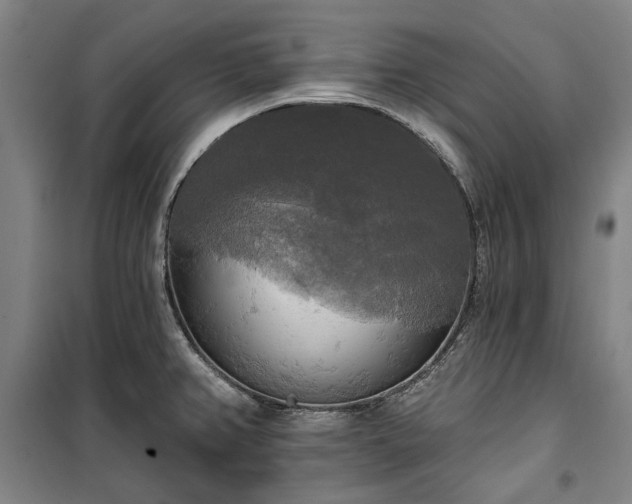 X0000100331382200806121117