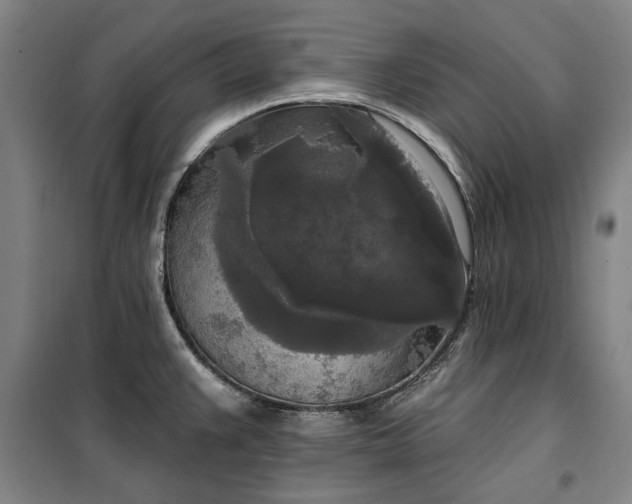 X0000100331383200806121117