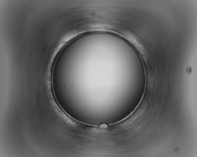 X0000100331384200806121117