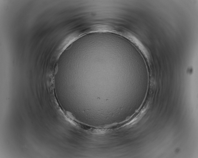 X0000100331385200806121117