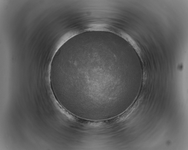 X0000100331386200806121117