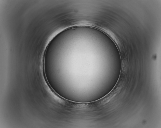 X0000100331387200806121117