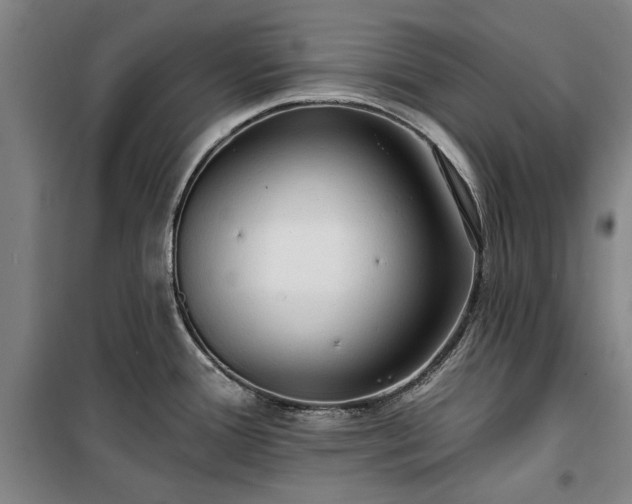 X0000100331388200806121117