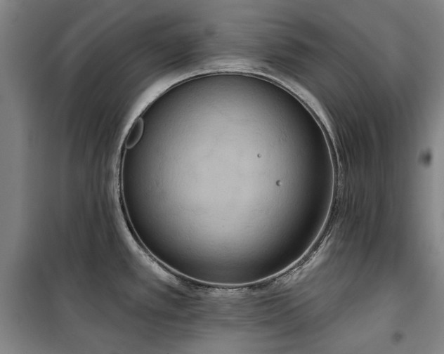 X0000100331389200806121117