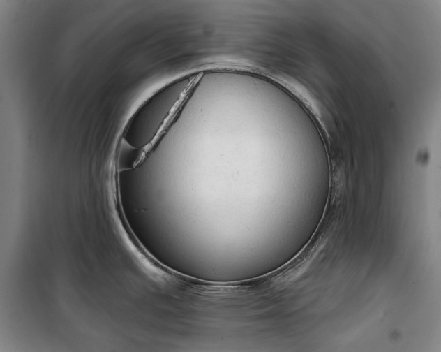 X0000100331391200806121117