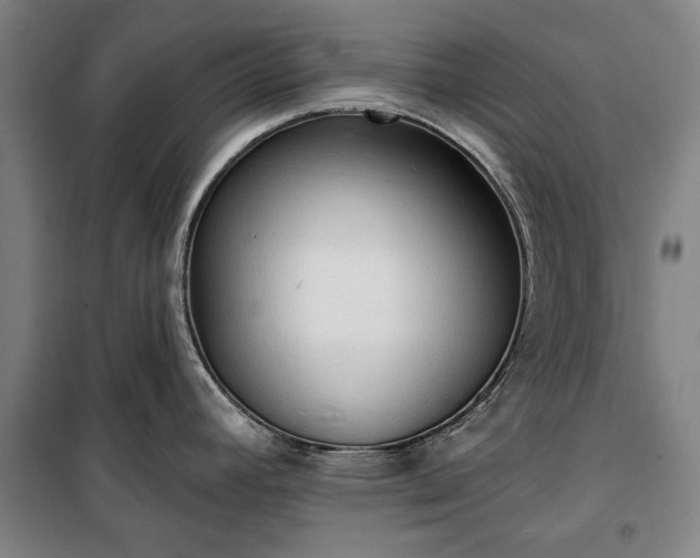 X0000100331392200806121117