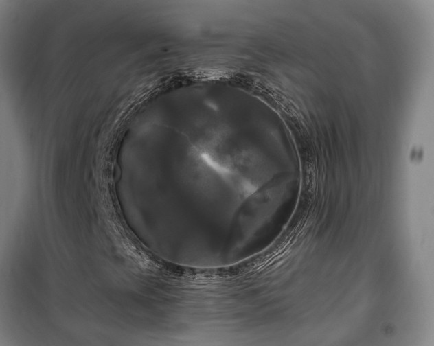 X0000100331393200806121116