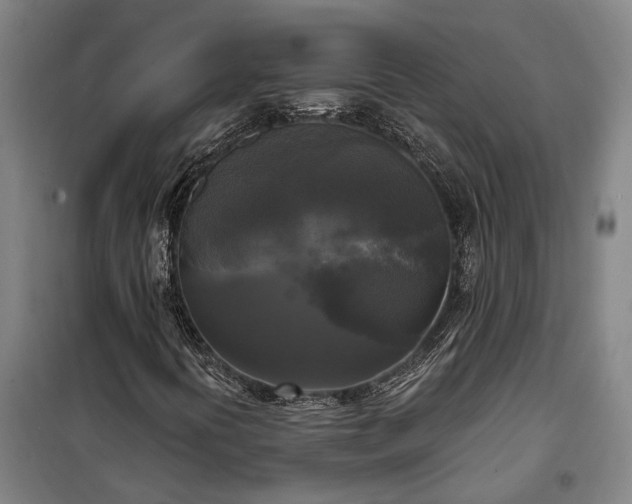 X0000100331394200806121116