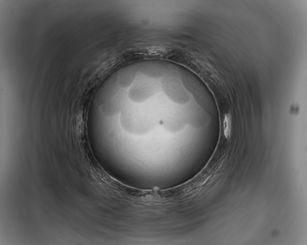 X0000100331395200806121116