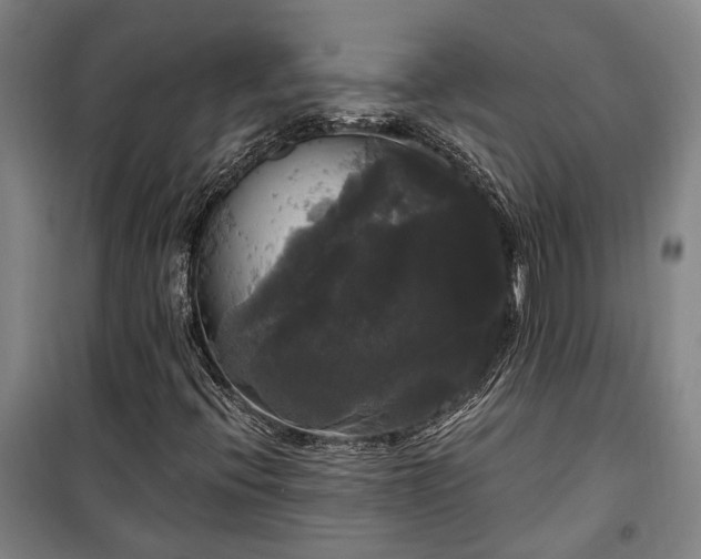 X0000100331396200806121116