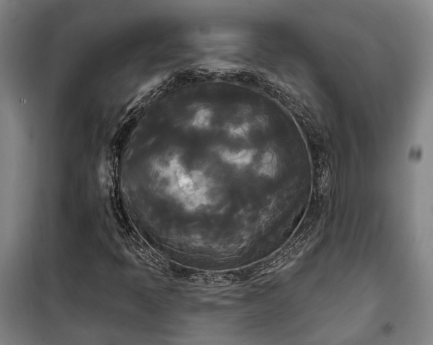 X0000100331397200806121116