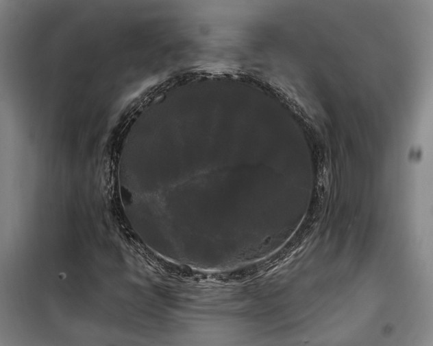 X0000100331398200806121116